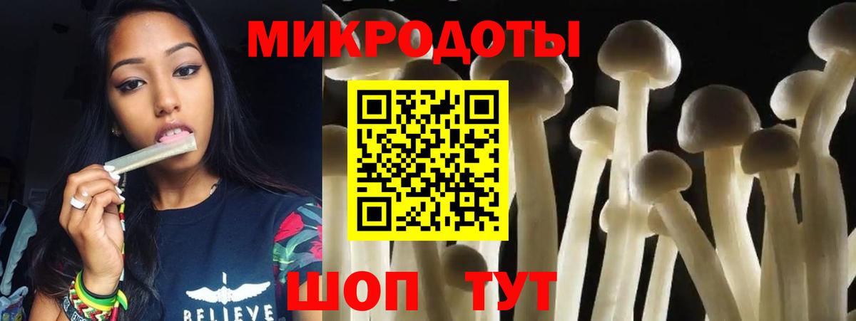 Псилоцибиновые грибы Psilocybine cubensis  Вход с VPN  Нижний Новгород 